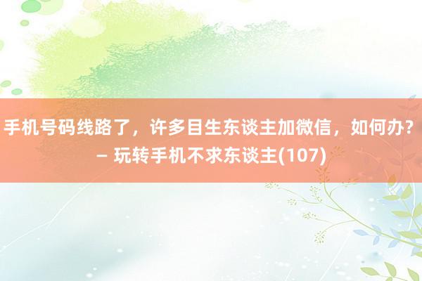 手机号码线路了，许多目生东谈主加微信，如何办? — 玩转手机不求东谈主(107)