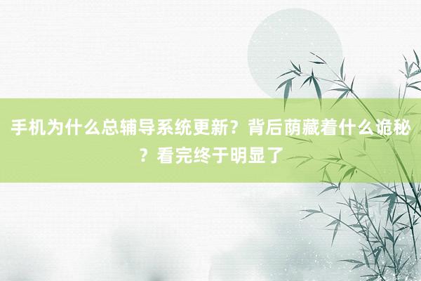 手机为什么总辅导系统更新？背后荫藏着什么诡秘？看完终于明显了