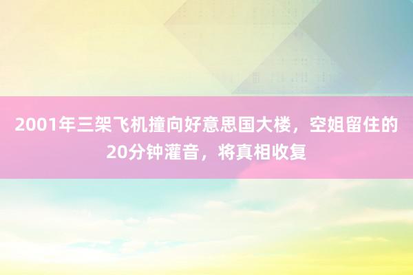 2001年三架飞机撞向好意思国大楼，空姐留住的20分钟灌音，将真相收复