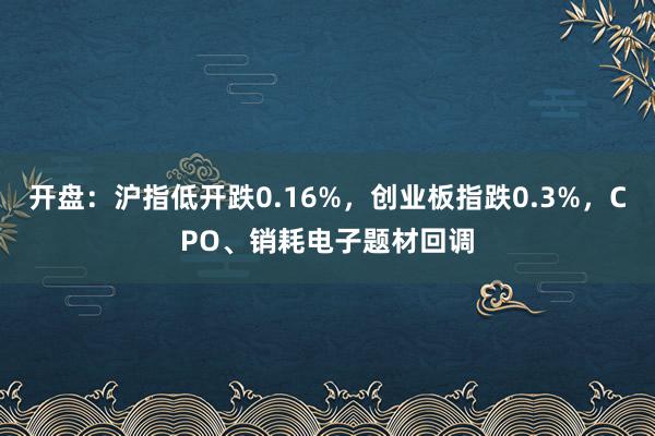 开盘：沪指低开跌0.16%，创业板指跌0.3%，CPO、销耗电子题材回调