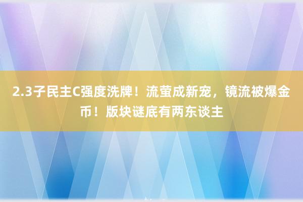 2.3子民主C强度洗牌！流萤成新宠，镜流被爆金币！版块谜底有两东谈主