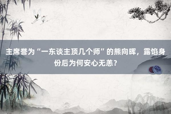 主席誉为“一东谈主顶几个师”的熊向晖，露馅身份后为何安心无恙？