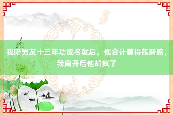 我陪男友十三年功成名就后，他合计莫得簇新感，我离开后他却疯了