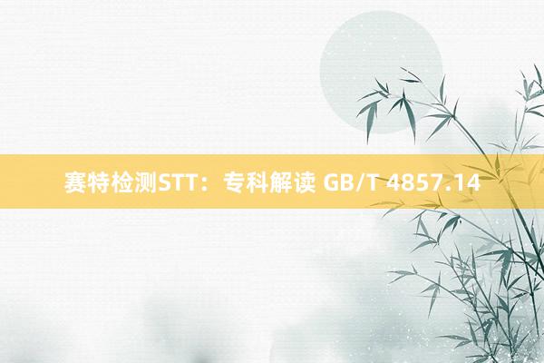 赛特检测STT：专科解读 GB/T 4857.14