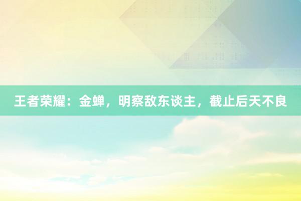 王者荣耀：金蝉，明察敌东谈主，截止后天不良